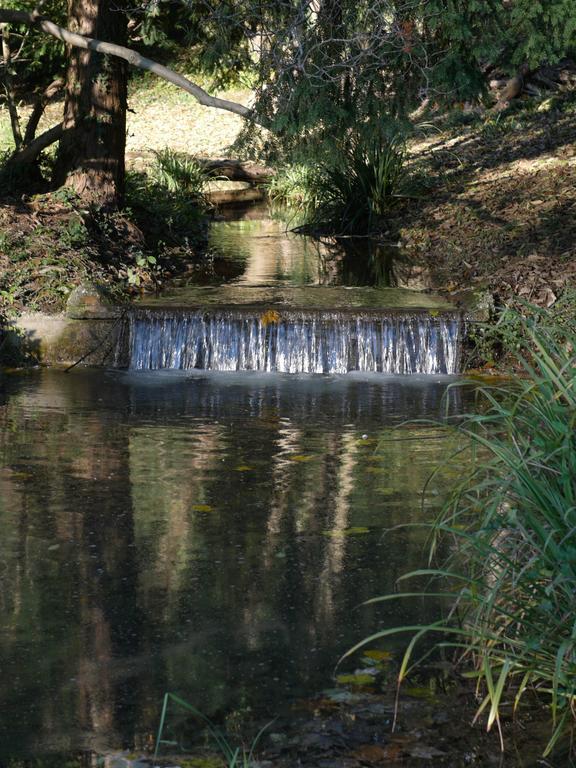 B&B Giardino Jappelli Rosà エクステリア 写真